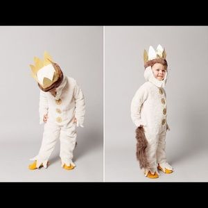 Pottery Barn Kids Max Costume
